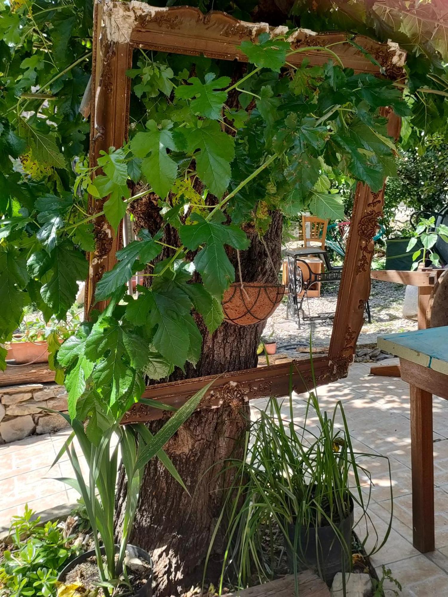 Les P'Tits Velos Bed and Breakfast Chandolas Εξωτερικό φωτογραφία